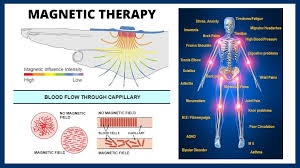 Mechanisms Behind TMS