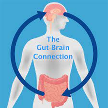 The Gut-Brain Connection: How healing your Gut Can Transform Your Life