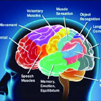Anorexia & Anxiety: Understanding the roots of the disorder