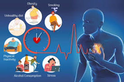 Routine Monitoring: Prevention Strategies for Cardiovascular Health