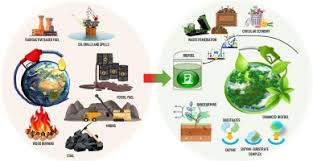 The Biorevolution: How Advanced Cell Cultures Fuel Innovation
