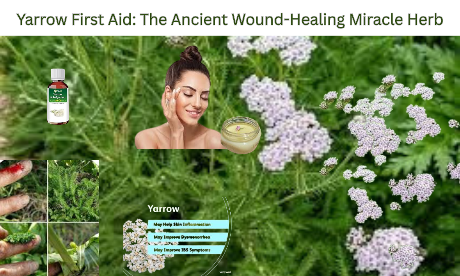 Yarrow First Aid: The Ancient Wound-Healing Miracle Herb