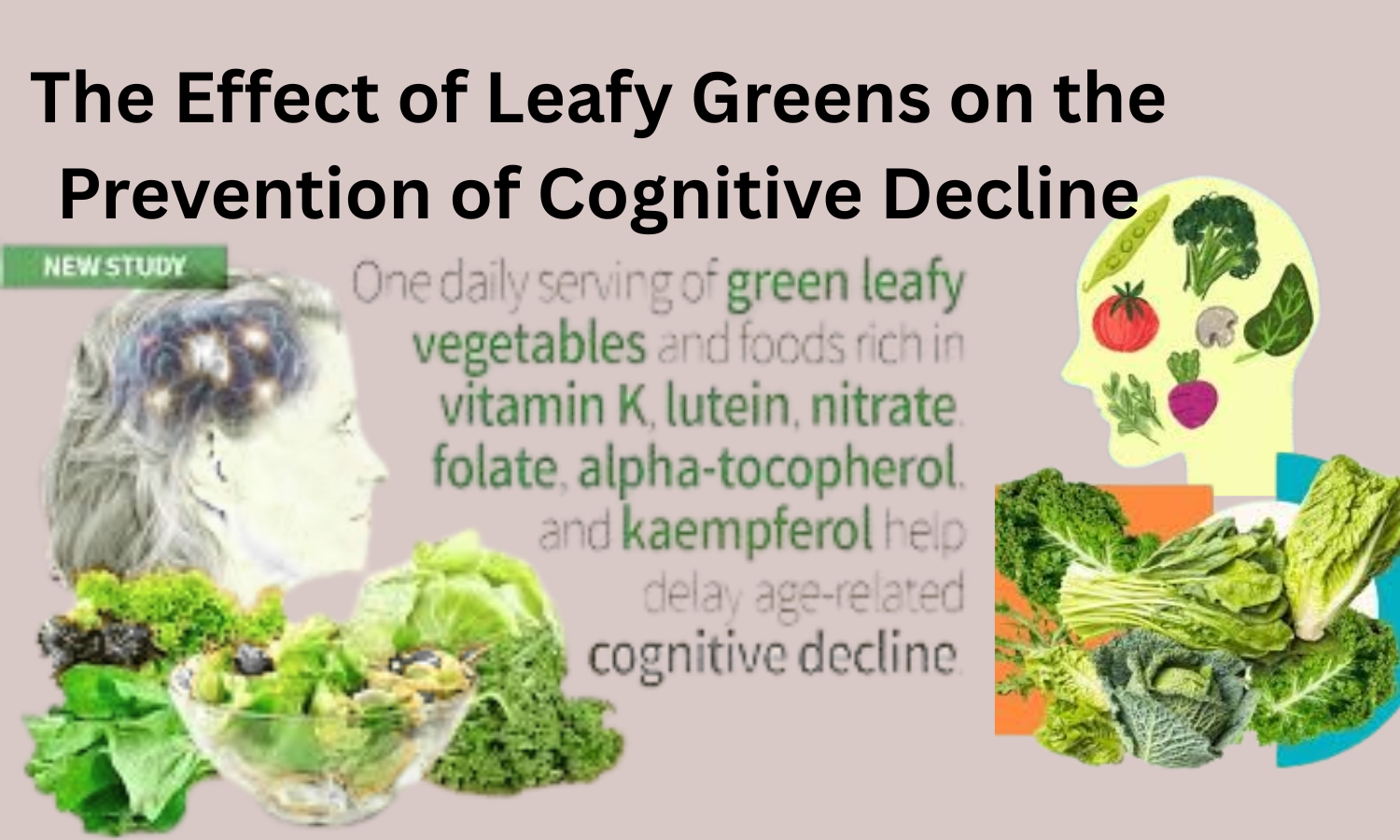 Boost Your Brain With Leafy Greens: Prevention of Cognitive Decline