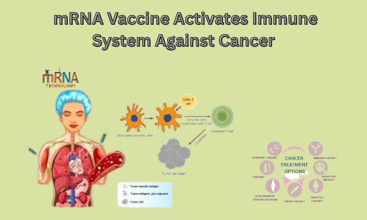 Breakthrough mRNA Vaccine Activates Immune System Against Cancer