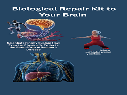 Liver-Brain Connection: How Your Liver Supports Brain Health