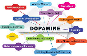 Dopamine? 