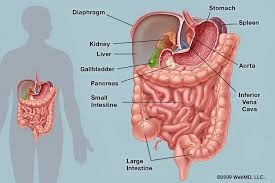 Abdominal Pain Location Matters