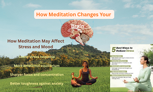 How Meditation Changes Your Brain in Just 7 Days Through Neuroplasticity