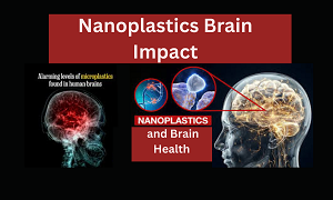 Nanoplastics Brain Impact: Why Smaller Particles Are Deadlier.