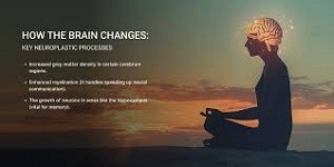 Meditation Changes Your Brain