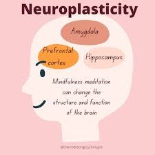 Meditation and Neuroplasticity